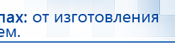 СКЭНАР-1-НТ (исполнение 02.1) Скэнар Про Плюс купить в Копейске, Аппараты Скэнар купить в Копейске, Медицинская техника - denasosteo.ru